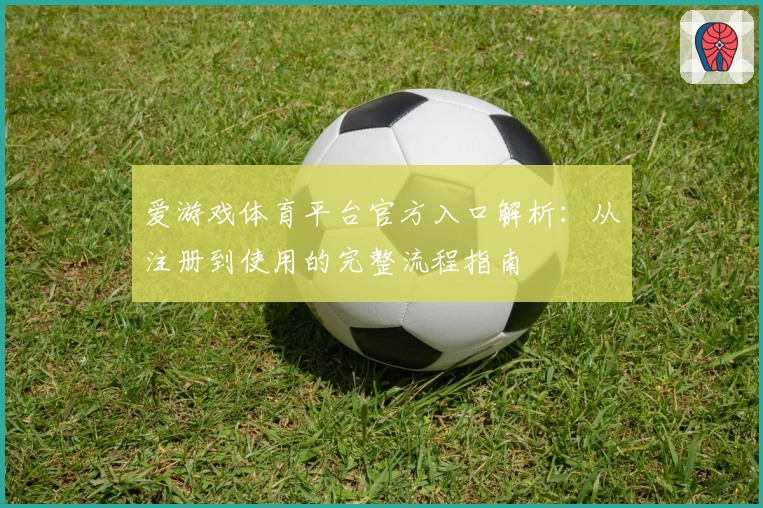 爱游戏体育平台官方入口解析：从注册到使用的完整流程指南